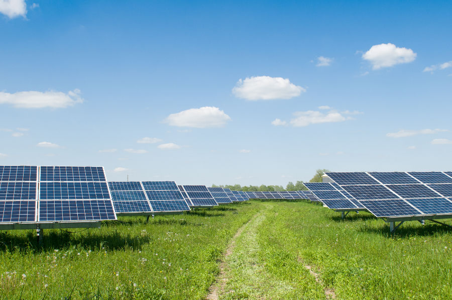 paneles solares en la tierra verde